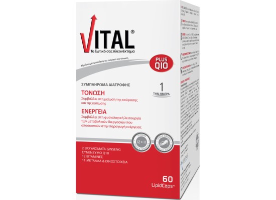 VITAL Plus Q10 Συμπλήρωμα Διατροφής με Ginseng & Συνένζυμο Q10 Για Τόνωση & Ενέργεια 60 Κάψουλες